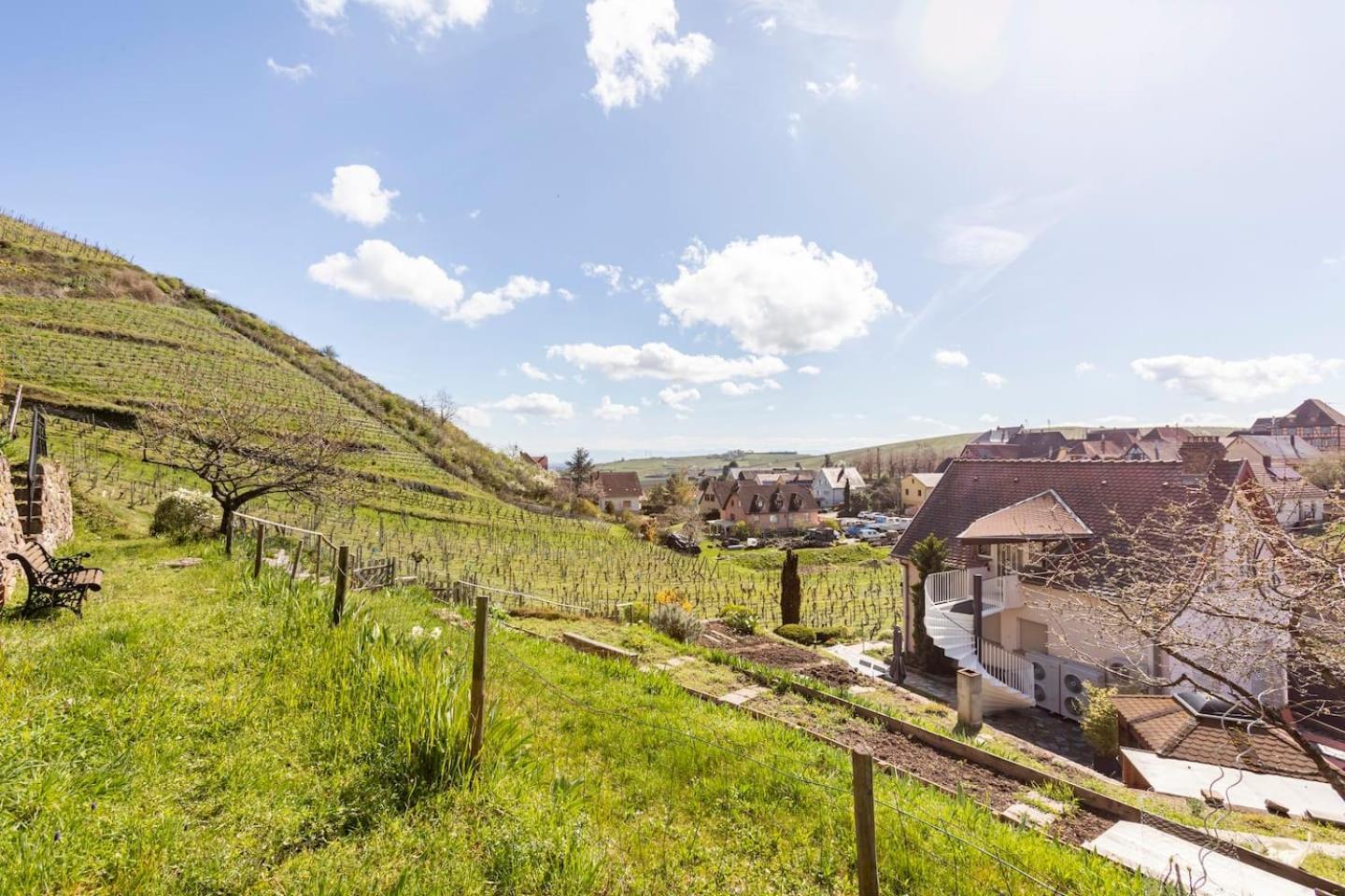 Les Glycines Du Sommerberg Niedermorschwihr Esterno foto